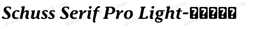 Schuss Serif Pro Light字体转换